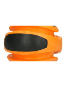 Dog comets planet sun