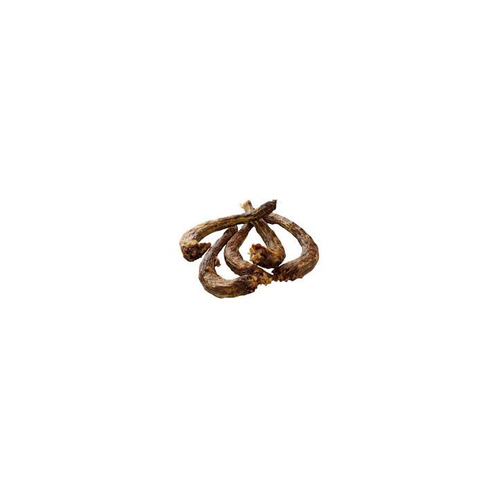 Cou de dinde chien 500 g | Friandise naturelle mastication