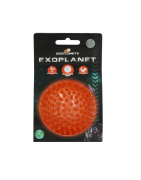 Dog comet exoplanet Médium