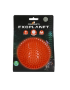 Dog comet exoplanet Small