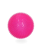 Dog comet exoplanet Small