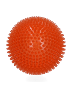 Dog comet exoplanet Small