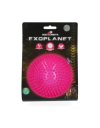 Dog comet exoplanet Small