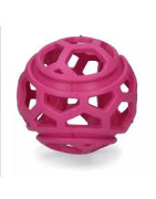 Dog Comets Titan Rose M 11,5 Cm