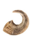 Cornes de bélier 350g (4 cornes)