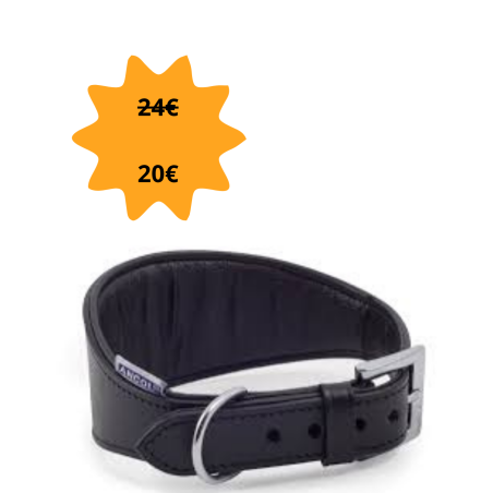 Ancol Greyhound Collier rembourré pour lévrier 34 à 43cm