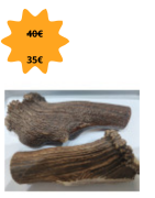 bois de cerf XXXL (environ 500g)