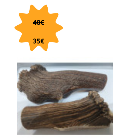 bois de cerf XXXL (environ 500g)