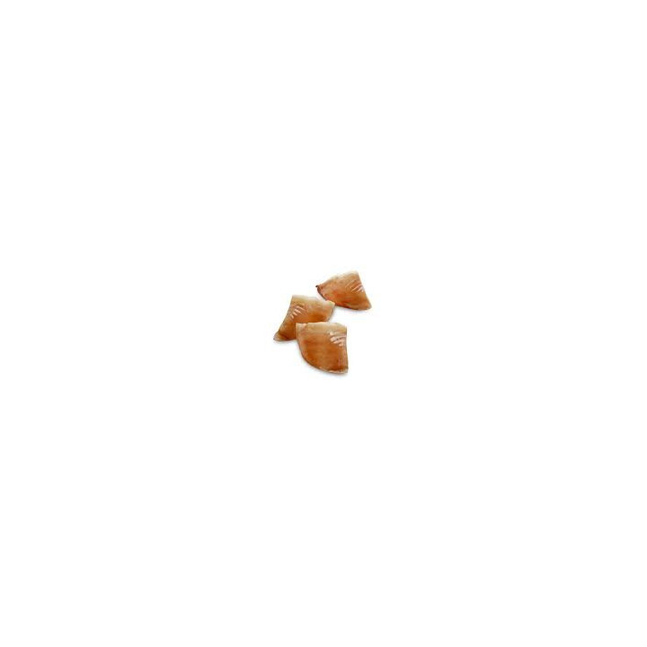 Lot 10 sabots de veau chien | Mastication 100 % naturelle
