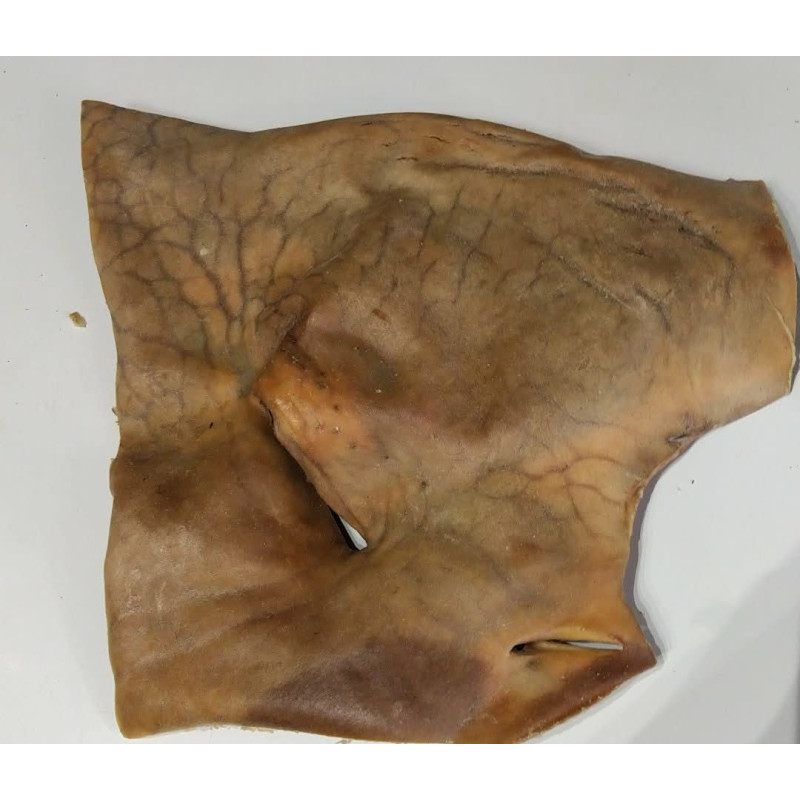 Plaque de peau de buffle 30cm * 30cm