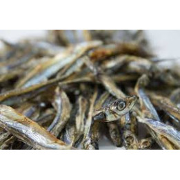 sardine 100g  ( Animalerie Is sur tille à 20 min de  DIJON en cote d'or)