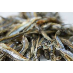 sardine 100g  ( Animalerie Is sur tille à 20 min de  DIJON en cote d'or)