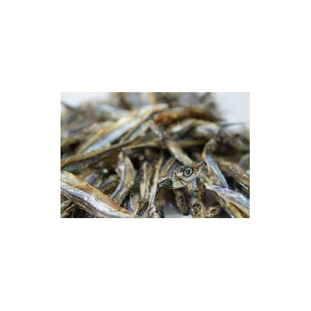 sardine 100g  ( Animalerie Is sur tille à 20 min de  DIJON en cote d'or)