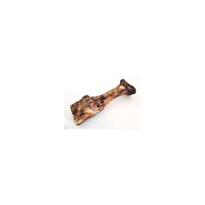 Jambe de bœuf XXL chien | Os à mâcher 100 % naturel