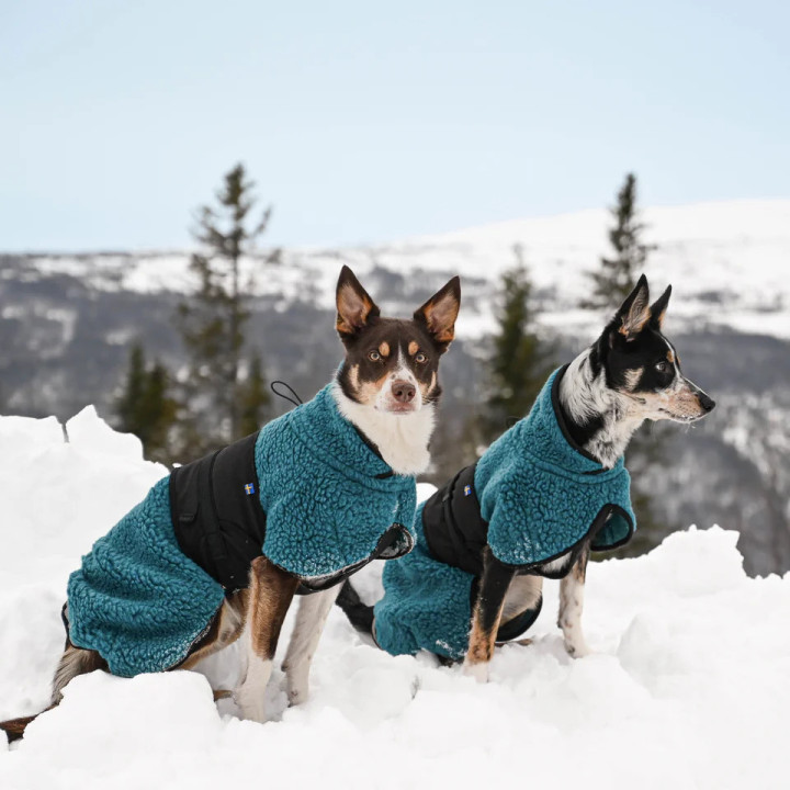 Hundlands Hybrido | Manteau laine mérinos pour chien