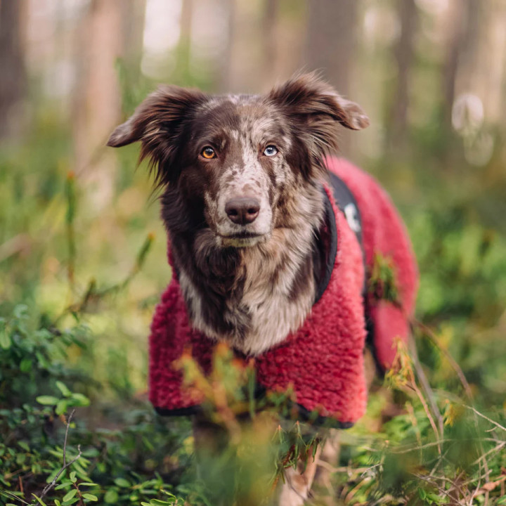 Hundlands Hybrido | Manteau laine mérinos pour chien