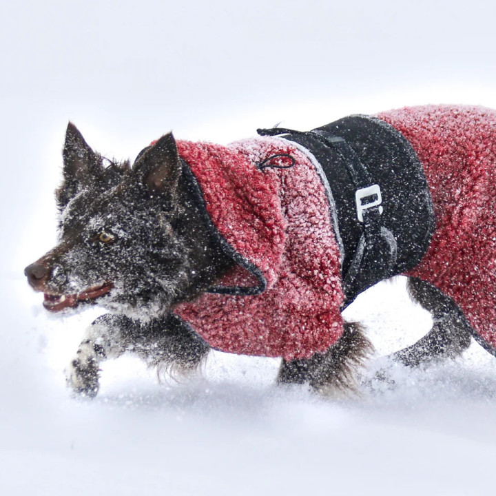 Hundlands Hybrido Orange | Manteau laine mérinos chien