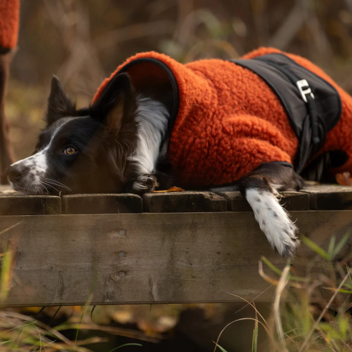 Hundlands Hybrido Noir | Manteau laine mérinos chien