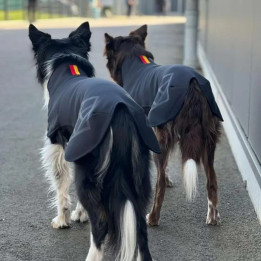 COUVERTURE POLAIRE SPORT HUNDLANDS Edition Allemagne