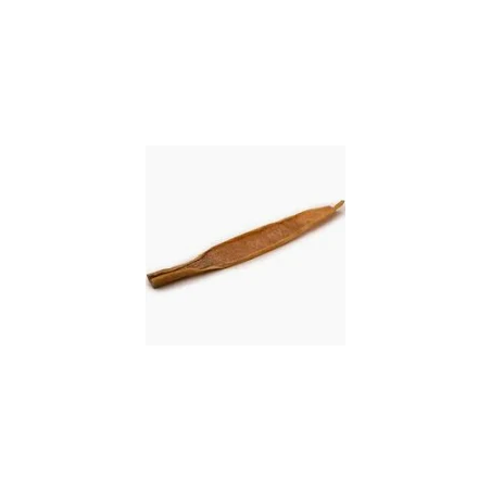 Lot de 2 Peaux de sanglier 50cm
