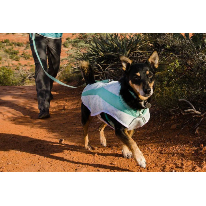 Ruffwear Swamp Cooler | Gilet rafraîchissant chien UPF 50+