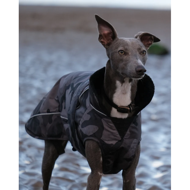 Dryrobe veste chien Noir Camouflage | Nature Hito Croq