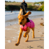 Dryrobe veste chien rose camouflage