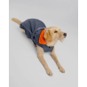 Dryrobe veste chien gris foncé orange