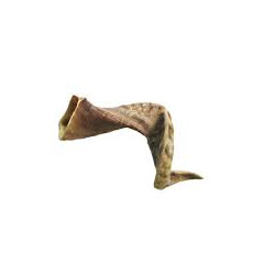 Cornes de bélier 350g (4 cornes)