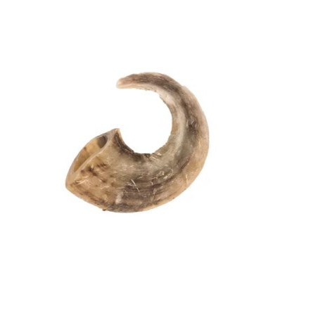 Cornes de bélier 350g (4 cornes)