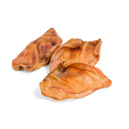 oreille de porc  ( Animalerie Is sur tille à 20 min de  DIJON en cote d'or)