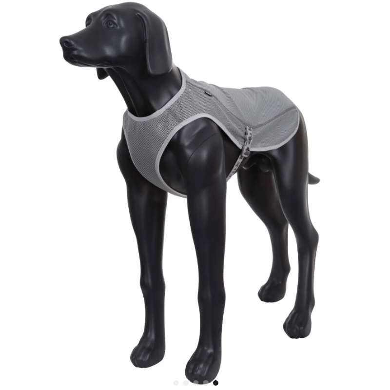 Gilet rafraîchissant Rukka Pets