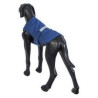Gilet rafraîchissant Icepeak bleu