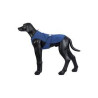 Gilet rafraîchissant Icepeak bleu