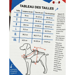 Trail Gilet de sauvetage pour chien Orange taille S