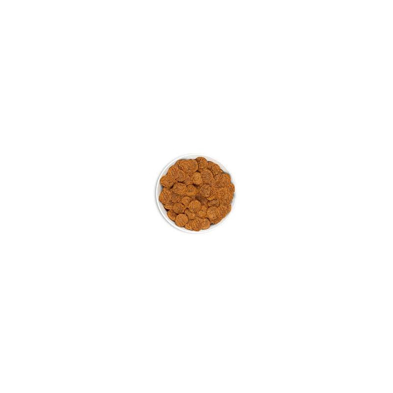 Era Jerky Puppy Snack Dinde enrichi à la citrouille 90gr.