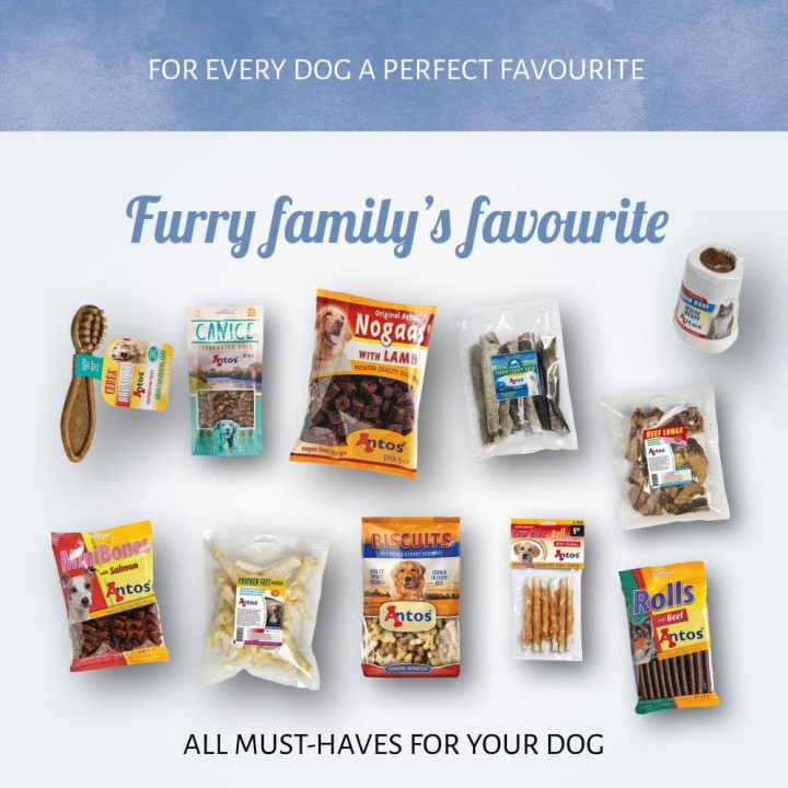 ANTOS DoggyBox 2027 g | Box Friandises & Mastication Chien