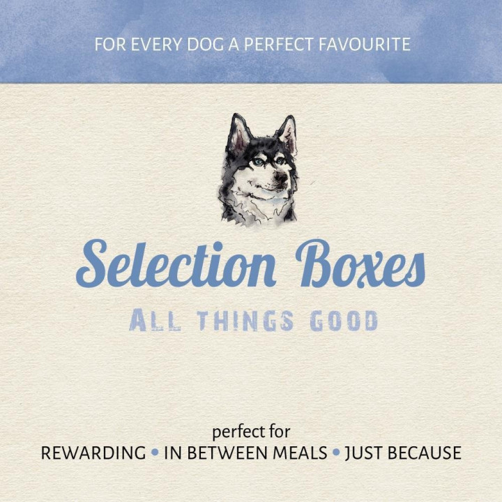 ANTOS DoggyBox 2027 g | Box Friandises & Mastication Chien
