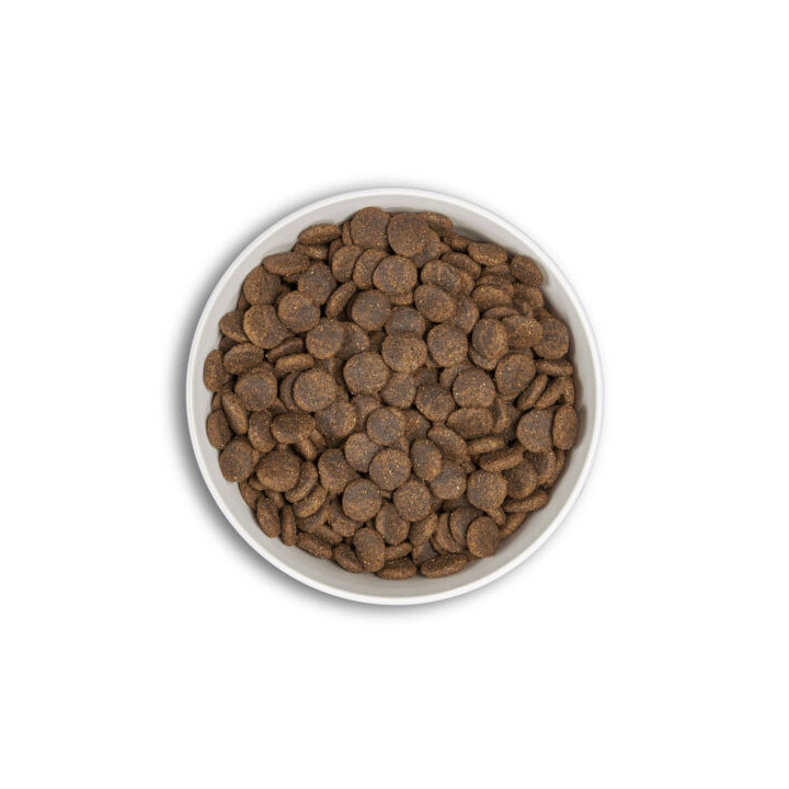 ERA Millennium Saumon & Hareng 12 kg | Nature Hito Croq