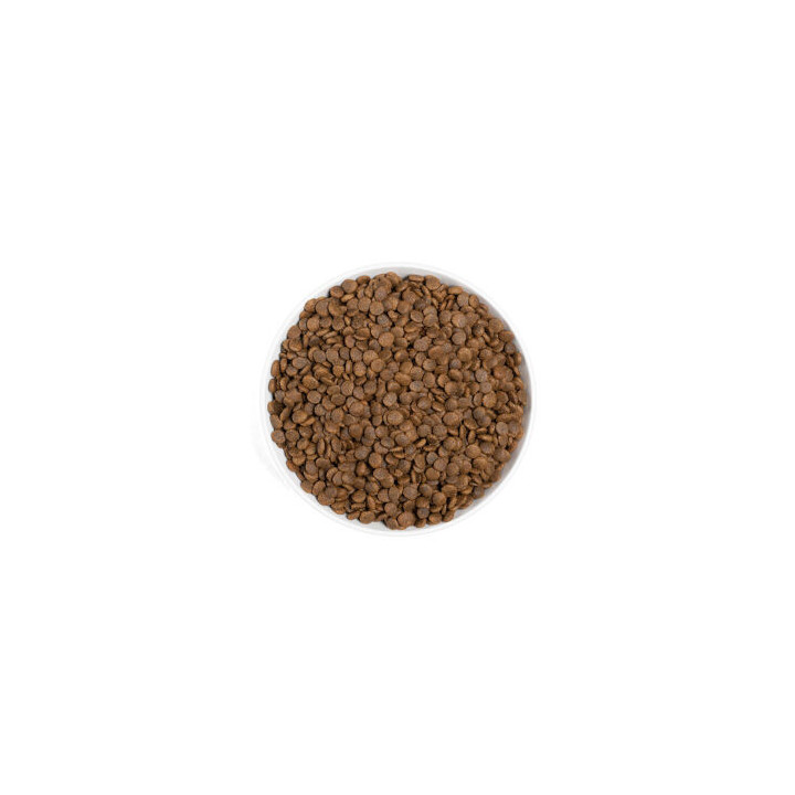 ERA Grain-Free Saumon & Dinde chat adulte | Nature Hito Croq
