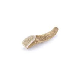 Bois de cerf entier  taille s
