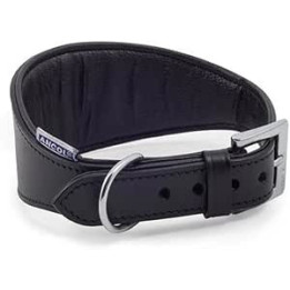 Collier Ancol Greyhound cuir 34–43 cm | Lévrier