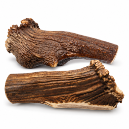Bois de cerf XXXL 500 g | Mastication naturelle chien