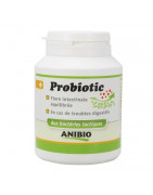 Probiotic aux bactéries lactiques 120 gélules