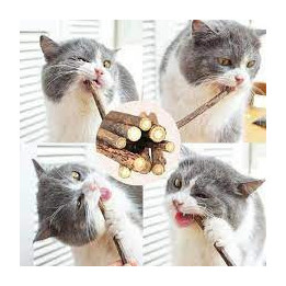 Bâtons de Matatabi pour chat | Silver Vine naturel