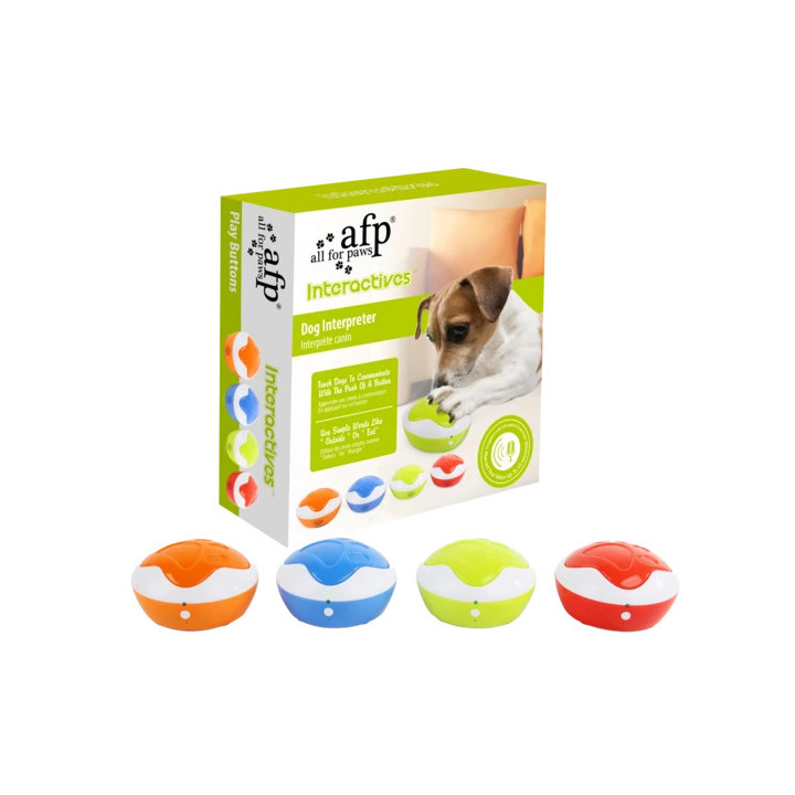 AFP Interactives - Interprète Chiot