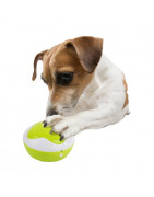 AFP Interactives - Interprète Chiot (prix initial 73.90€)