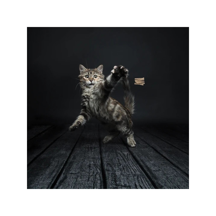Cat Dancer Pro | Canne à pêche pour chat 40,5 cm