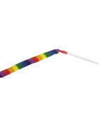 Charmeur de chat arc-en-ciel