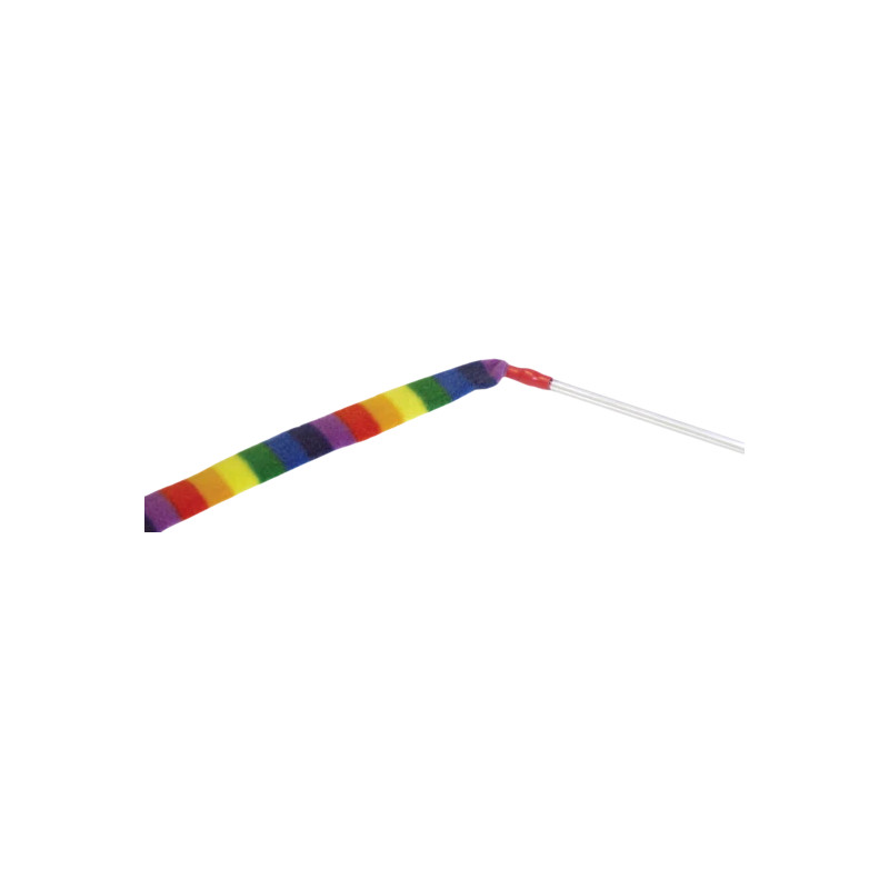 Charmeur de chat arc-en-ciel